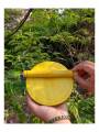 Toy - Miniature Chapathi Mane Toy - Miniature Chapathi Mane