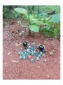 Pebbles ( Goli )  - Combo Pack -Traditional Games
