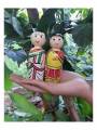 Tamil Couple Doll - Geographical Indexed Tamil Couple Doll - Geographical Indexed