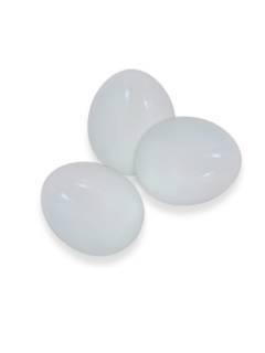 Toy - Wooden Egg  Toy - Wooden Egg