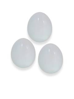 Toy - Wooden Egg  Toy - Wooden Egg