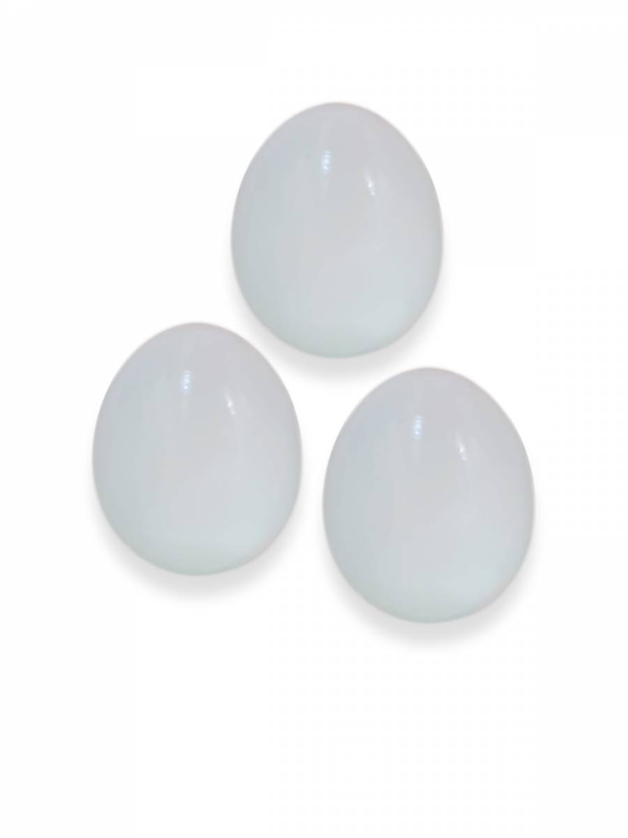 Toy - Wooden Egg 