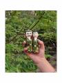 Pair Doll - Police - 4inch Pair Doll - Police - 4inch
